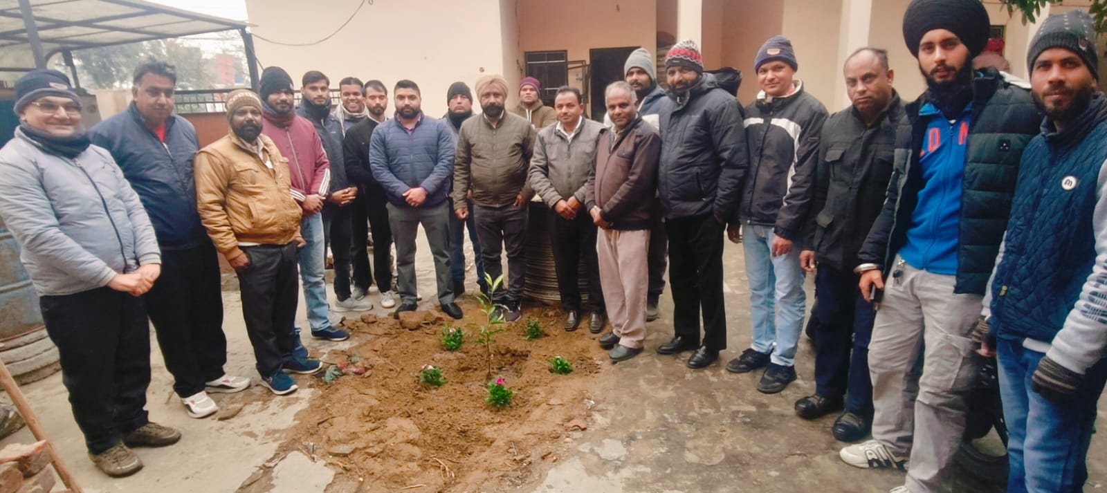 Plants planted in the office on the occasion of New Year